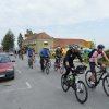 Miholje 2012